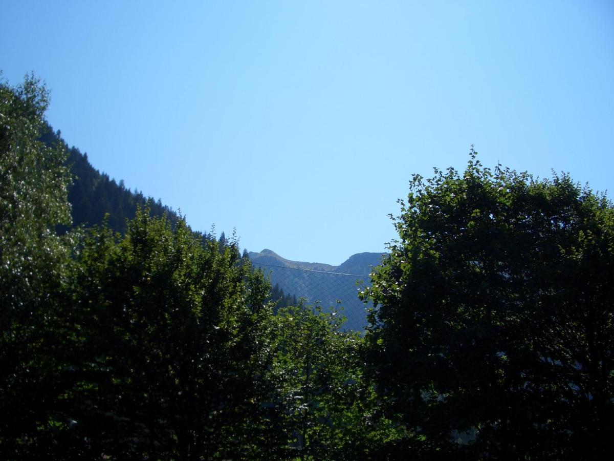 Meckyheim Διαμέρισμα Mayrhofen Εξωτερικό φωτογραφία